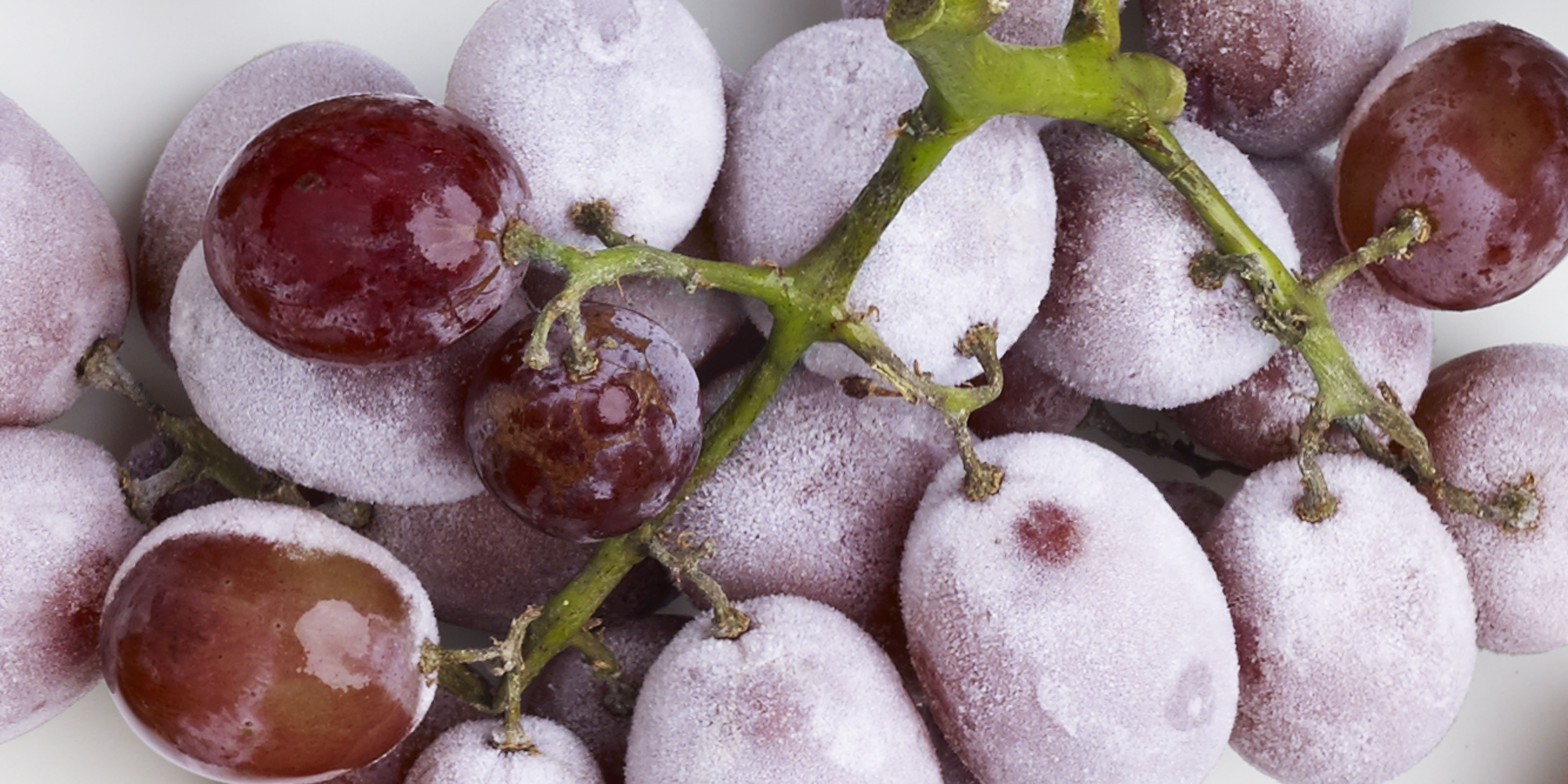 What to Eat When You've Got a Cold 8 Superfoods to Eat When You're Sick