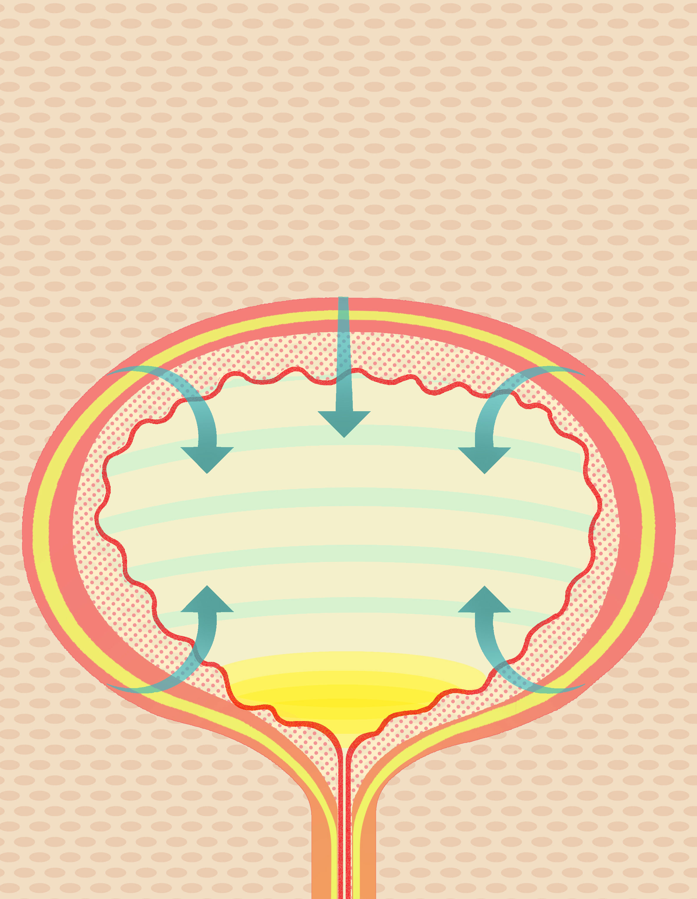 All About Your Bladder What You Bladder Is Trying to Tell You