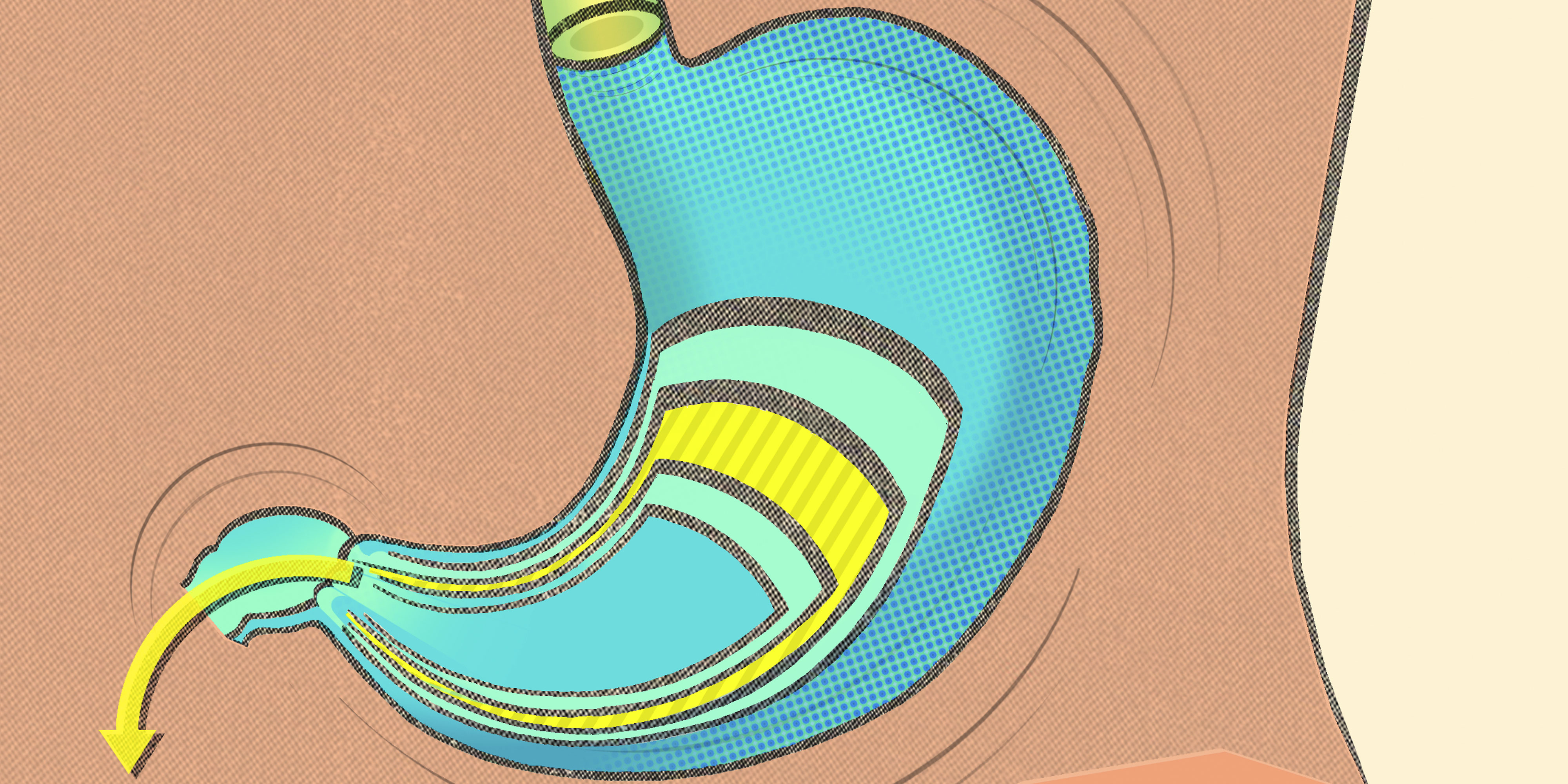 Things You Should Know About Your Stomach Swallowing Chewing Gum